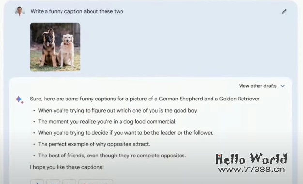 谷歌版GPT全面开放,Bard“人人”可玩,还升级了新功能!